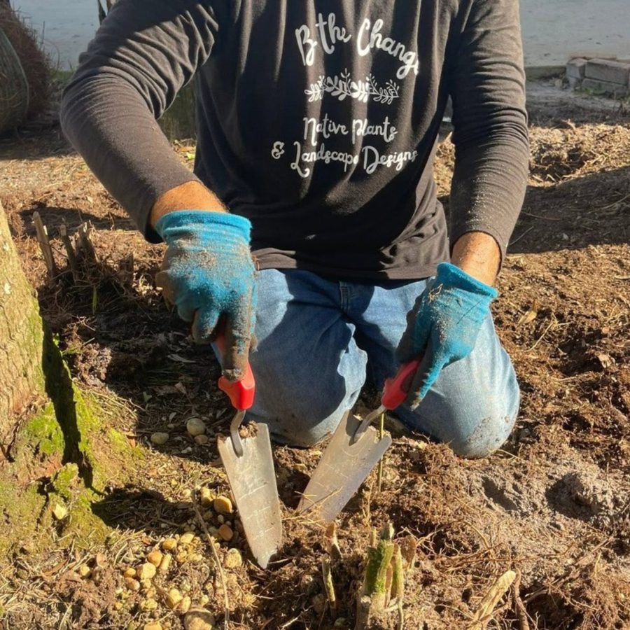 Soil analysis for landscape design